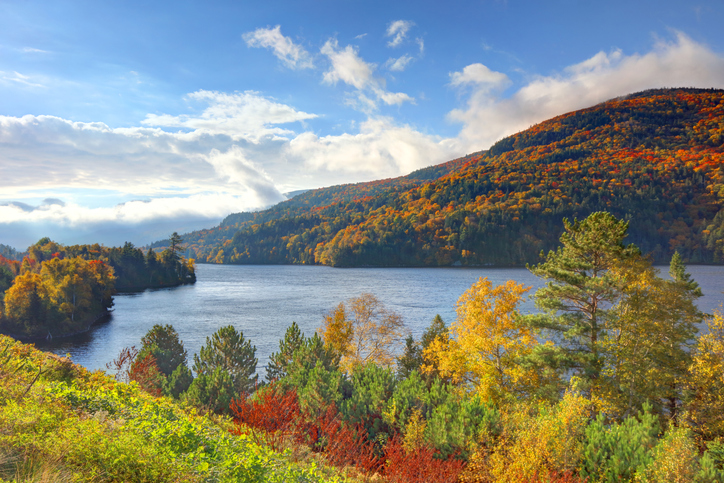 Insurance Consultants Recruiters in Maine